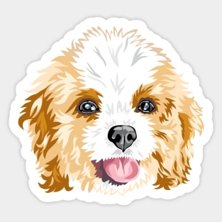 Gracie the Cavoodle Sticker